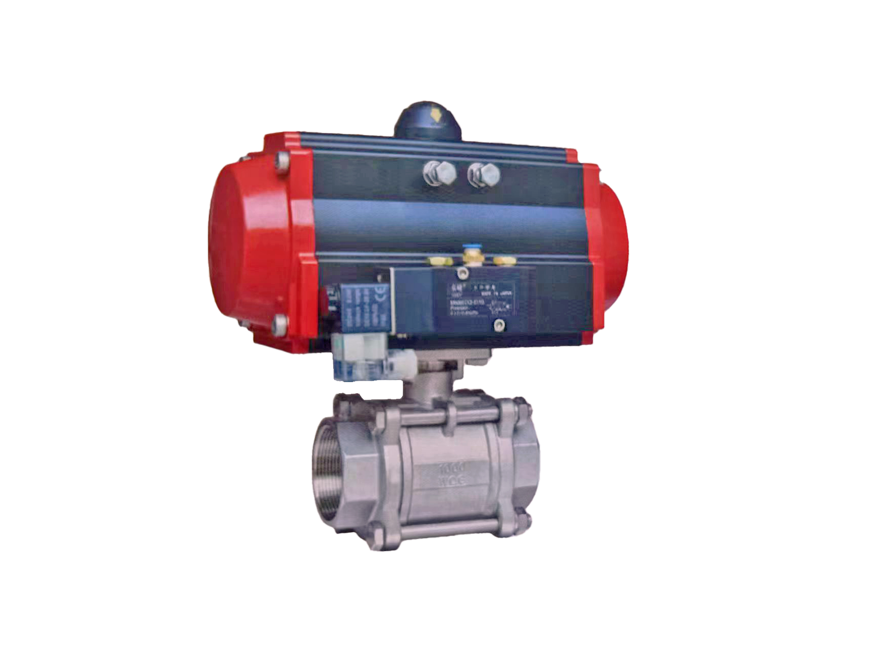 ����˿����